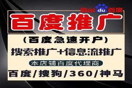 案例解析：专业竞价推广代运营团队实操